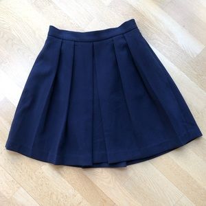 Navy Pleated Skirt